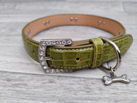 Luxo Green Croc Leather Bone Diamante Dog Collar 2.5cm x 62cm