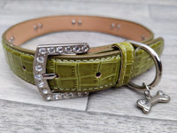 Luxo Green Croc Leather Bone Diamante Dog Collar 2.5cm X 41-50cm