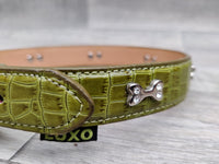 Luxo Green Croc Leather Bone Diamante Dog Collar 2.5cm x 62cm
