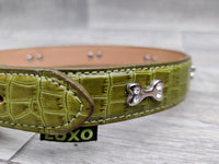 Luxo Green Croc Leather Bone Diamante Dog Collar 2.5cm X 41-50cm