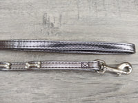 Armitages Good Boy Pawgeous Nylon Lead Glitter Bone 10mm X48"