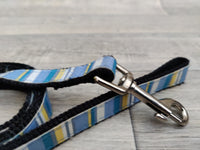 Good Boy Pawgeous Nylon Lead Candy Stripe 120cm X 20mm