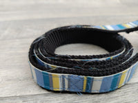Good Boy Pawgeous Nylon Lead Candy Stripe 120cm X 20mm