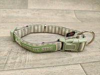 Trixie Green Cream Nylon Stripe Collar XS–S: 22–35cm/10mm Terrier Jack Russell
