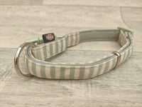 Trixie Green Cream Stripe Collar M–L: 35–55cm Beagle Collie Lab