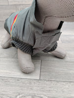 Yap Grey Bomber Jacket Dog Coat XL 18" / 51cm Spaniel