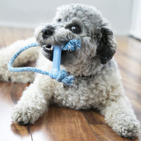 Kong Puppy Goodie Bone On Rope XSmall