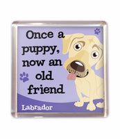 Fridge Magnet Dog Puppy Lovers Gift Stocking Filler Lots Of Breeds