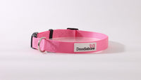 Doodlebone Bold Collar