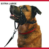 Mikki Walk-easeHeadcollar X-Large