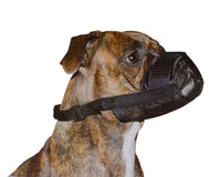 No Bite Bark Mikki Soft Nylon Dog Muzzle