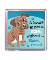 Fridge Magnet Dog Puppy Lovers Gift Stocking Filler Lots Of Breeds