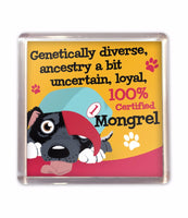 Fridge Magnet Dog Puppy Lovers Gift Stocking Filler Lots Of Breeds