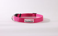 Doodlebone Bold Collar