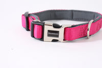 Doodlebone Bold Padded Collar