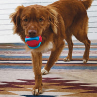 Kong Jaxx Brights Ball W/rope Assorted Med