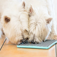 Lickimat Buddy Deluxe Turquoise