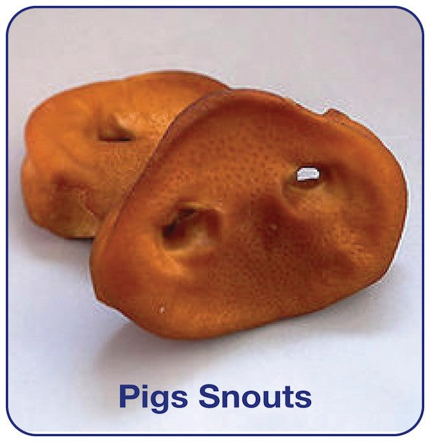 100% Natural Pig Snouts