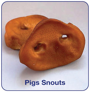 100% Natural Pig Snouts