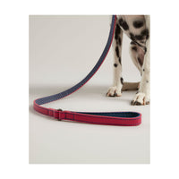 Joules Pink Leather Dog Lead