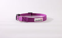 Doodlebone Bold Collar