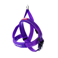 EzyDog Quick Fit Harness