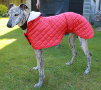 Greyhound Quilted Nylon Waterproof Dog Coat Red 60cm (24")