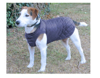 Quilted Step-in-suit Showerproof Nylon Navy 60cm (24") Lab Retreiver