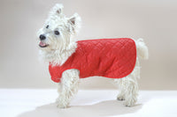 Quilted Step-in-suit Showerproof Nylon Red 25cm (10") Chihuahua Yorkie