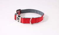 Doodlebone Bold Padded Collar