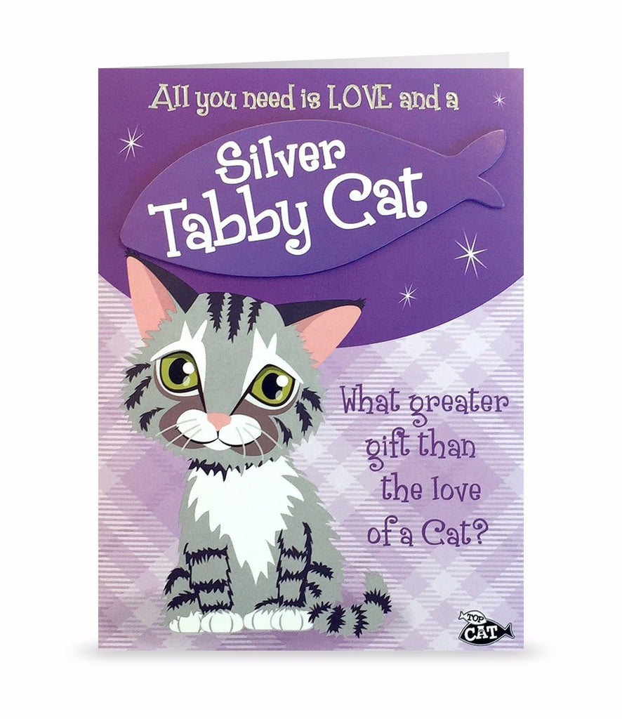 Cat Greeting Birthday Card Silver Tabby Cat 17
