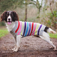 Sötnos Super Stripe Dog Jumper