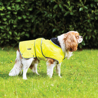 Ancol Stormguard Fleece Lined Coat Hi Vis Yellow