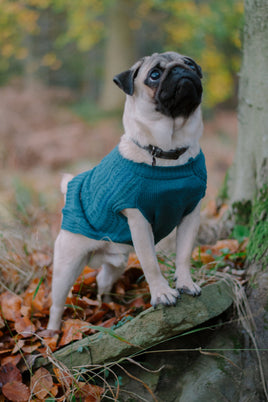 Sötnos Teal Cable Knit Jumper
