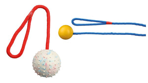 Trixie Natural Rubber Ball On A Rope - Various Colours