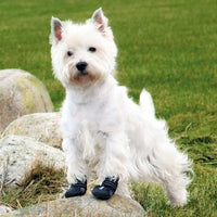 New - Trixie Walker Active Protective Dog Boots Shoes All Sizes - 1-2-4 Pk