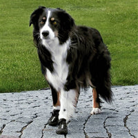 New - Trixie Walker Active Protective Dog Boots Shoes All Sizes - 1-2-4 Pk