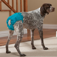 Simple Solution Washable Dog Nappy Incontinence Travel Diaper XS, S, M, L, XL