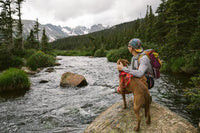 Ruffwear Front Range Harness Red Sumac