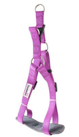 Doodlebone Bold Padded Harness