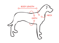 EzyDog Classic Chestplate Harness