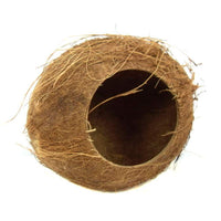 Coconut Hut 12cm