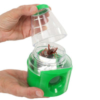 Insect Lore Creature Peeper