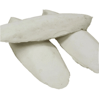 Cuttlefish Bone