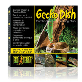 Exo Terra Gecko Dish
