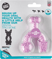 Tastybone Dental Trio Toy