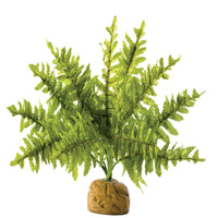 Exo Terra Boston Fern Small