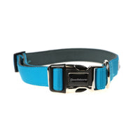 Doodlebone Bold Padded Collar