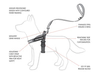 Ezydog Express Harness