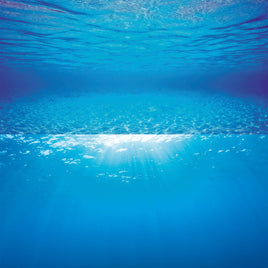 Juwel Aquarium Rear Wall Posters